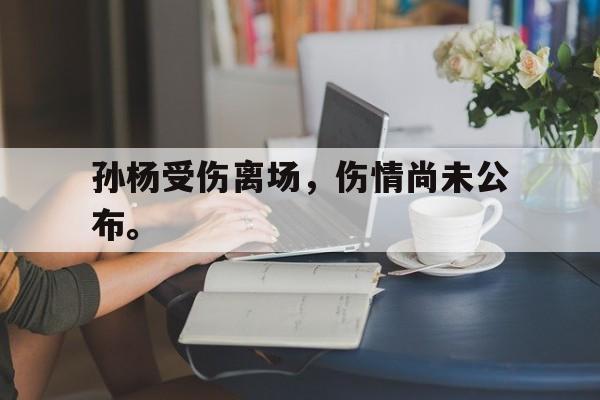 半岛体育-孙杨受伤离场，伤情尚未公布。