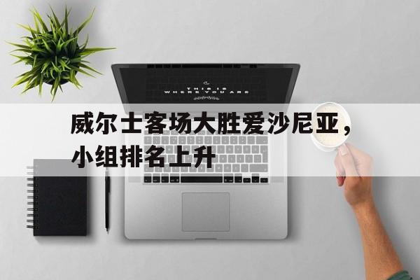 半岛体育官网-威尔士客场大胜爱沙尼亚，小组排名上升